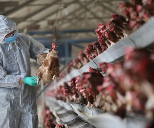 Kosova ndalon importin e shpezëve dhe produkteve të tyre nga Gjermania