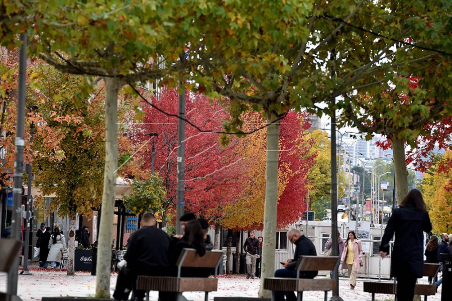 Moti për ditën e sotme