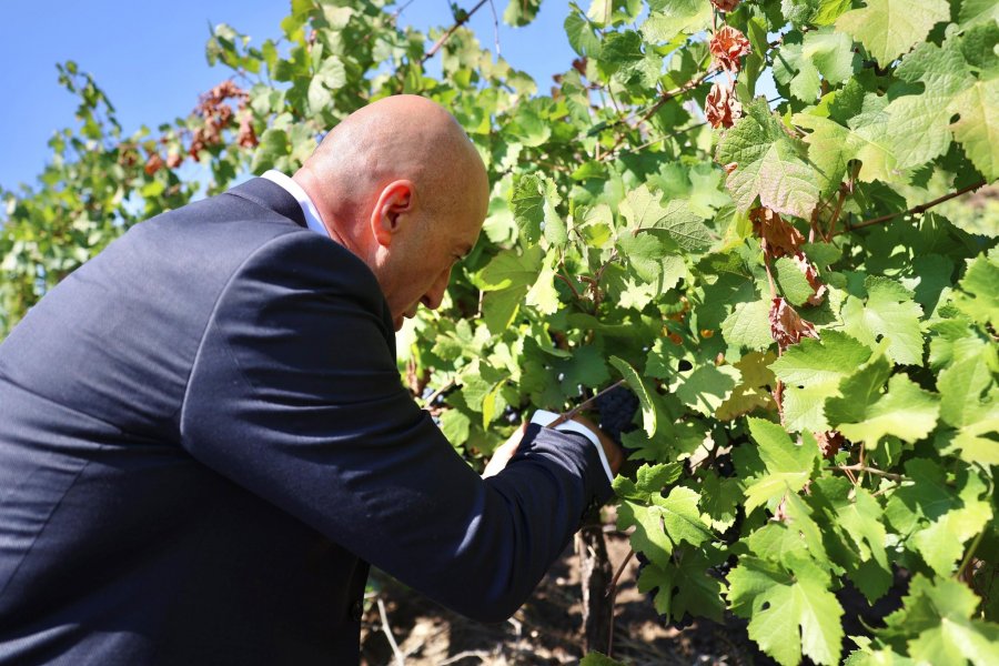 Haradinaj: “Hardh Fest”, ngjarje që promovon punën dhe përkushtimin e njerëzve të Rahovecit