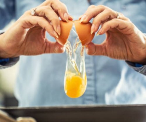 Disa ushqime që kanë më shumë proteina se vezët