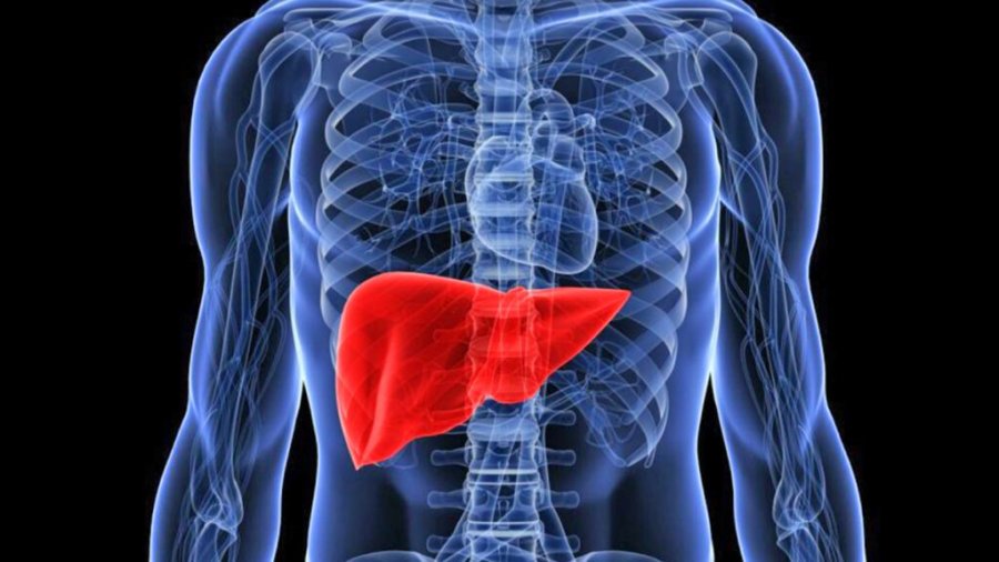 inteligjenca-artificiale-parashikon-rrezikun-e-kancerit-te-melcise-me-saktesi-te-larte