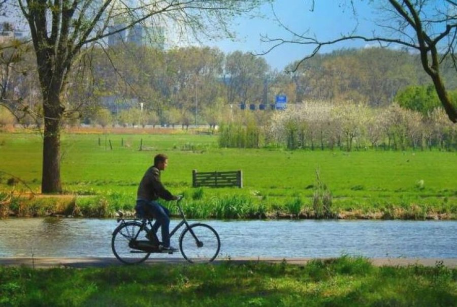ushtrimet-fizike-mund-te-jene-po-aq-efektive-sa-disa-ilace-tregojne-studimet
