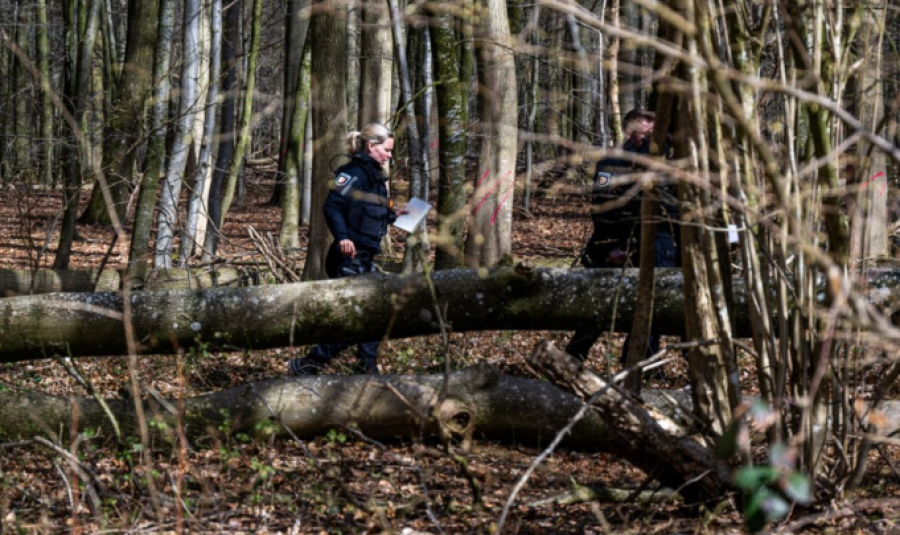 Tragjedi në Gjermani  Rrëzohet pema gjatë aktivitetit të Pashkëve  tre të vdekur