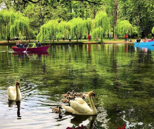 Driloni, oazë e paqtë që tërheq gjithnjë e më shumë vizitorë