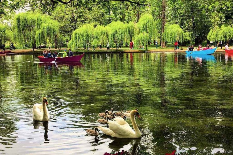 driloni-oaze-e-paqte-qe-terheq-gjithnje-e-me-shume-vizitore