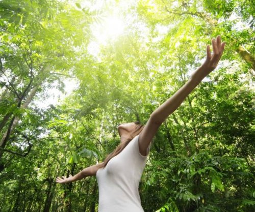 Bukuria e natyrës ka efekt qetësues