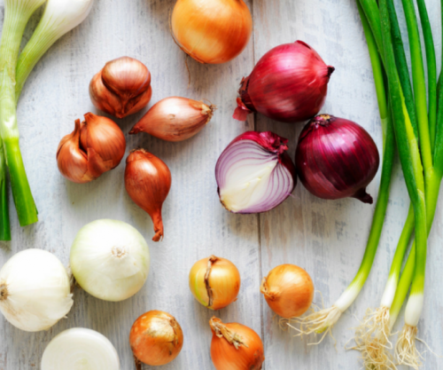 Disa nga sëmundjet që mund t’i trajtoni me qepë