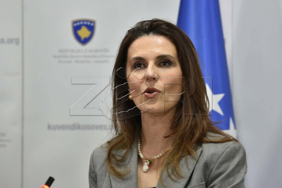 Çitaku tregon se a do ta dërgojë PDK ja Projektligjin për konfiskimin e pasurisë në Kushtetuese