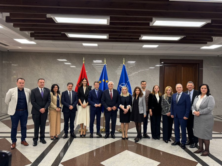 Samiti IV i Diasporës, Destani: Diaspora, pasuri e çmuar dhe urë lidhëse me botën