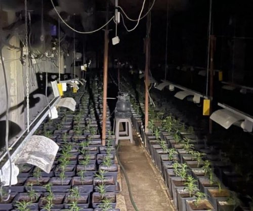 Zbulohet laborator i madh i drogës në Pejë