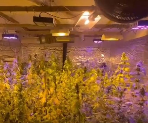 Zbulohet laboratori i drogës në Jabllanicë të Pejës, prokuroria me detaje të reja