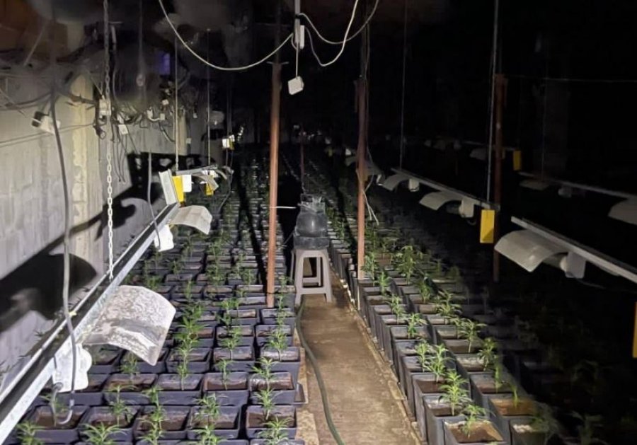 Zbulohet laborator i madh i drogës në Pejë