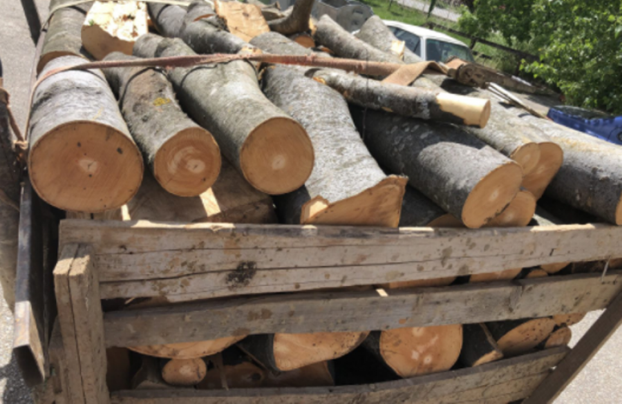 Policia ndalon traktorin që transportonte ilegalisht dru