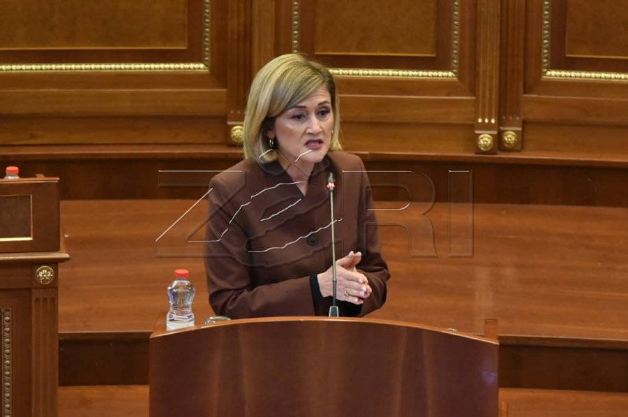 Projektligji për çmimet tavan, Kusari-Lila: Vetëm për produktet bazë dhe vetëm në rast të destabilizimit