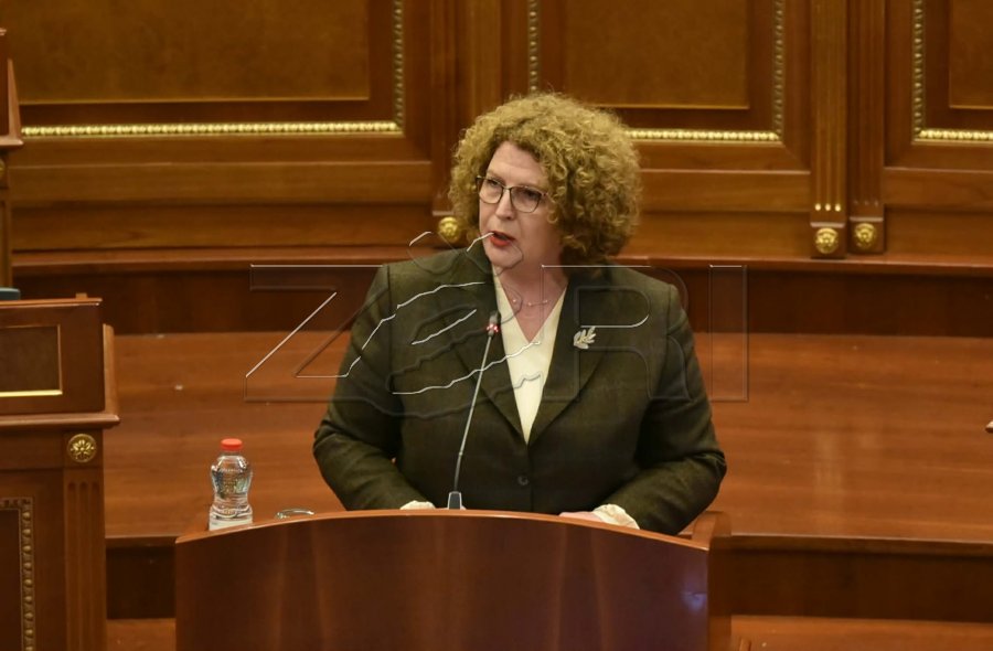 Hajdari thirrje opozitës për presidentin  Dialogu të zhvillohet në interes të shtetit dhe qytetarëve