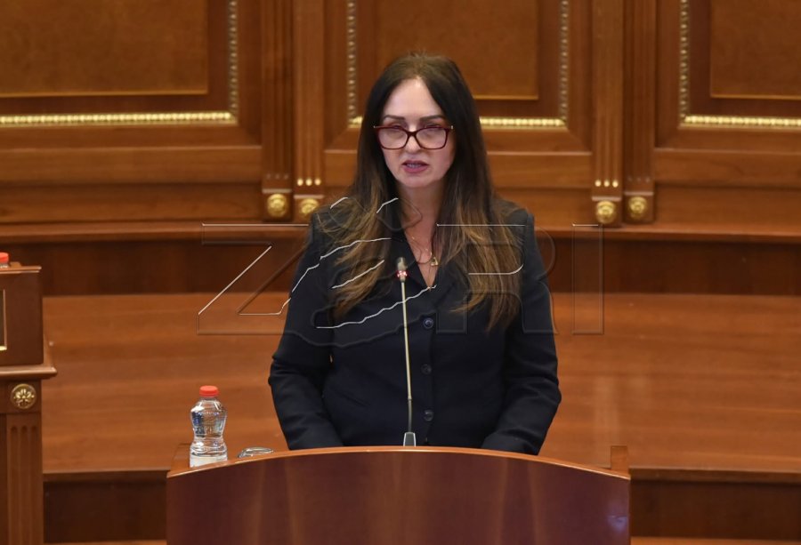  Shteti nuk pret    Nagavci kërkon zhbllokim të procesit për presidentin