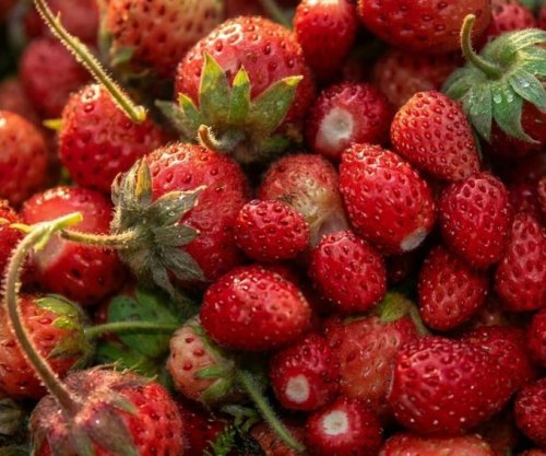 Tri këshilla për të ulur konsumin e sheqerit dhe për të qetësuar sistemin nervor