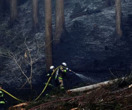 Mbi 1 mijë zjarrfikës në betejë me flakët në Japoni, mijëra të evakuuar