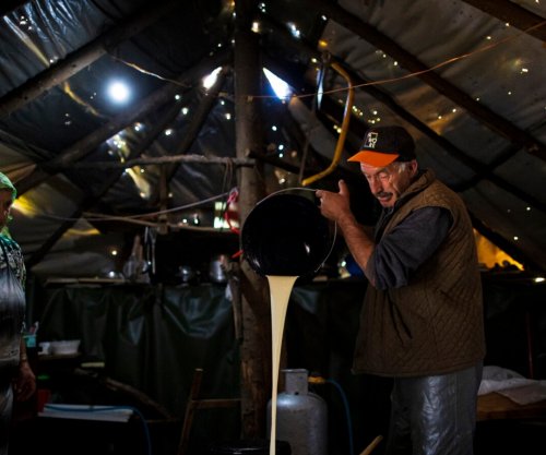 Fermerët drejt humbjes, qumështi vendor mbetet pa treg