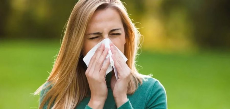 disa-ushqime-qe-ndihmojne-ne-uljen-e-teshtitjes-bllokimit-te-hundes-dhe-simptomave-te-alergjise