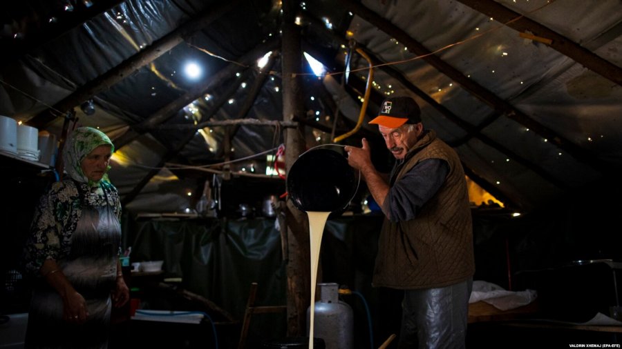 Fermerët drejt humbjes  qumështi vendor mbetet pa treg