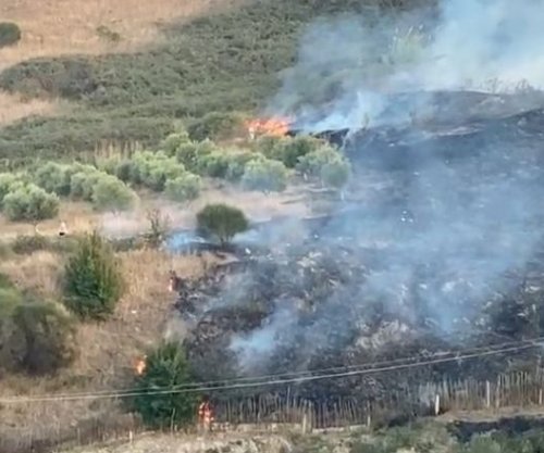 Zjarr në ullishtet e Panajasë në Vlorë, ndërhyjnë zjarrfikëset