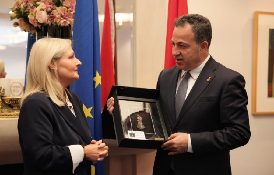 peleshi-ne-irlande-merr-mbeshtetje-per-anetaresimin-e-shqiperise-ne-be