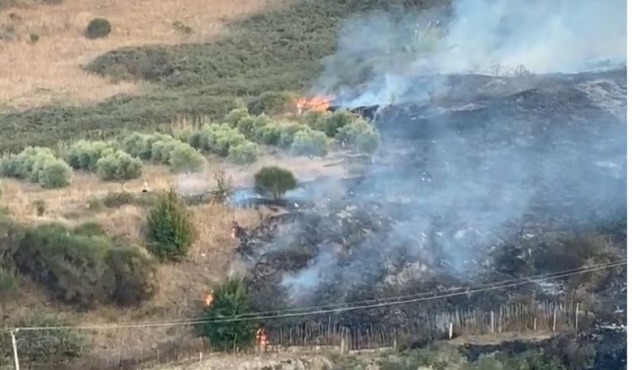 Zjarr në ullishtet e Panajasë në Vlorë  ndërhyjnë zjarrfikësit