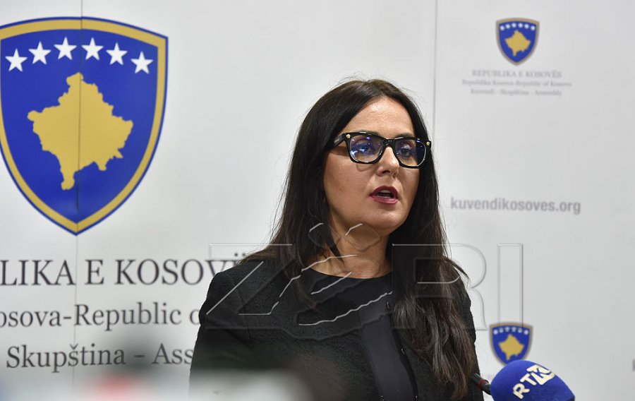 LDK-ja dakord për 7 qershorin, Lushaku-Sadriu: Shpresoj që qytetarët t’i mbështesin ata që dinë dhe ua rregullojnë jetën