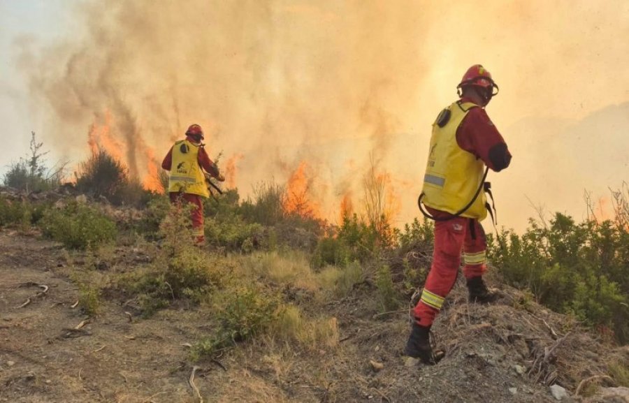 Nufi: Në Shqipëri, 727 forca në terren për përballimin e zjarreve 