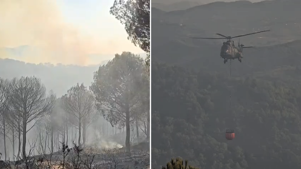 Situatë kritike me zjarret në disa fshatra të Shqipërisë  kërkohet ndihmë nga ajri