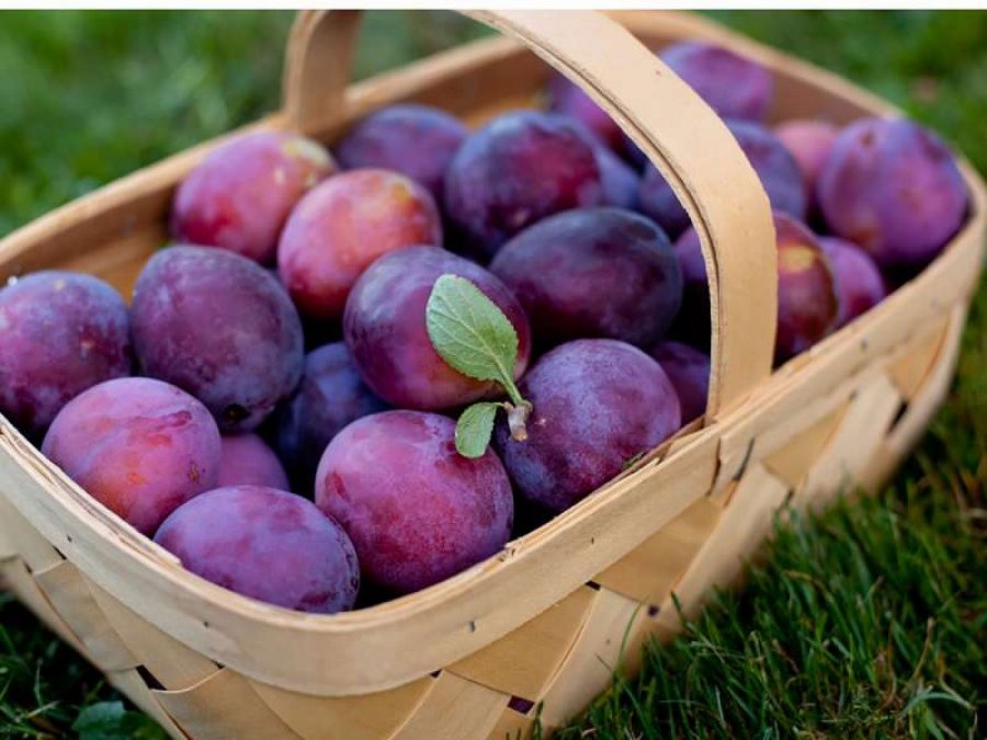 cfare-ndodh-nese-hani-12-kumbulla-ne-dite