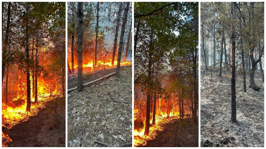 Zjarr i madh në Breznicë të Bujanocit  raportohet se janë evakuuar rreth 700 banorë