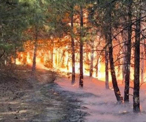 Zjarret në Breznicë vihen nën kontroll, banorët dhe zjarrfikësit në gjendje gatishmërie