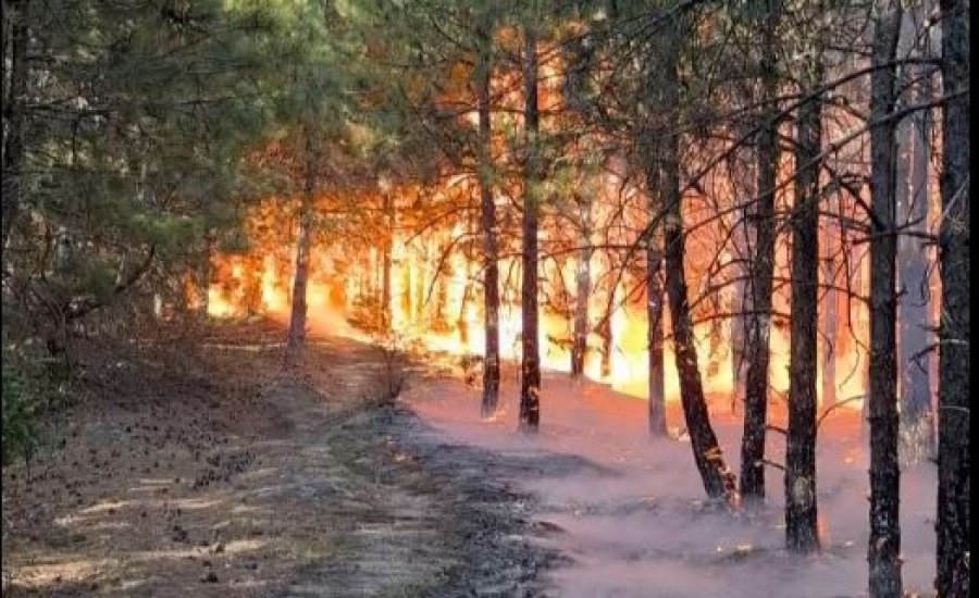Zjarret në Breznicë vihen nën kontroll, banorët dhe zjarrfikësit në gjendje gatishmërie