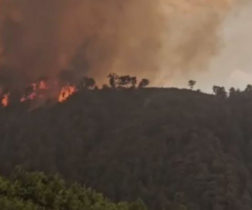Shqipëria vazhdon betejën me flakët, 14 vatra të zjarrit ende aktive