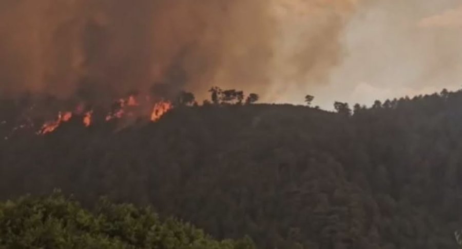 Shqipëria vazhdon betejën me flakët, 14 vatra të zjarrit ende aktive