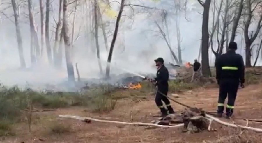 zjarret-dogjen-1-225-hektare-pyje-vlora-me-e-demtuara