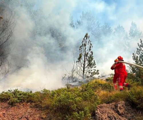 11 vatra zjarri aktive në Shqipëri, angazhohen helikopterë e avionë për shuarjen e flakëve