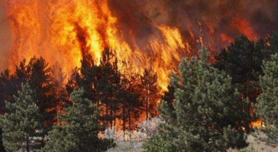 Dy viktima dhe mbi 300 të evakuar pas zjarreve në Salamina të Greqisë