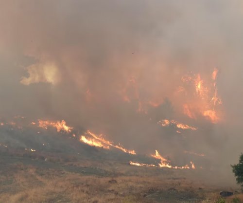 33 vatra zjarri në Shqipëri gjatë 24 orëve, tetë ende aktive