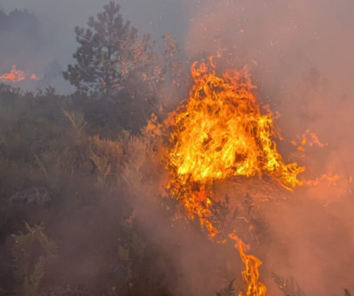 Përmirësohet situata, katër vatra aktive të zjarrit në Shqipëri