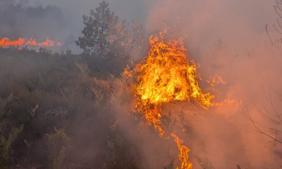 Përmirësohet situata  katër vatra aktive të zjarrit në Shqipëri
