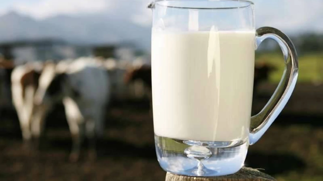 Hapet thirrja publike për mbështetjen e prodhuesve të qumështit në Suharekë