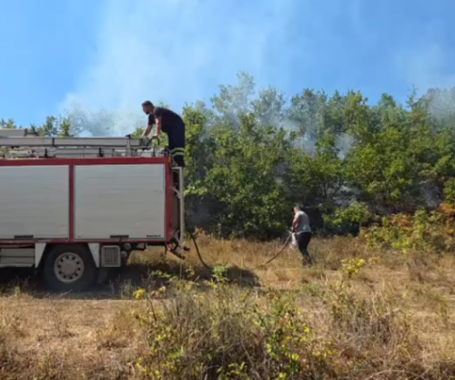 Zjarr në fshatin Suç të Klosit, ndërhyrja e shpejtë shpëton banesat