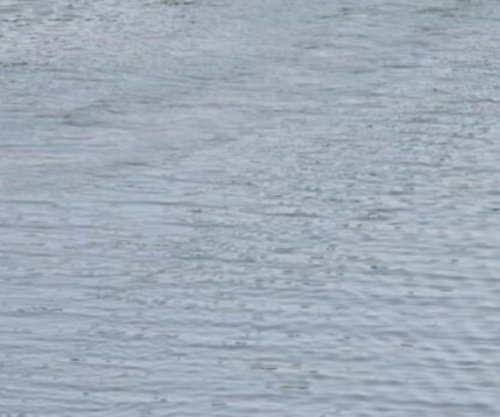 Tragjedi në Nigeri, përmbyset një varkë, humbin jetën 40 fëmijë