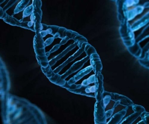 Shkencëtarët zbulojnë një qasje të re që mund të fuqizojë terapitë me mRNA