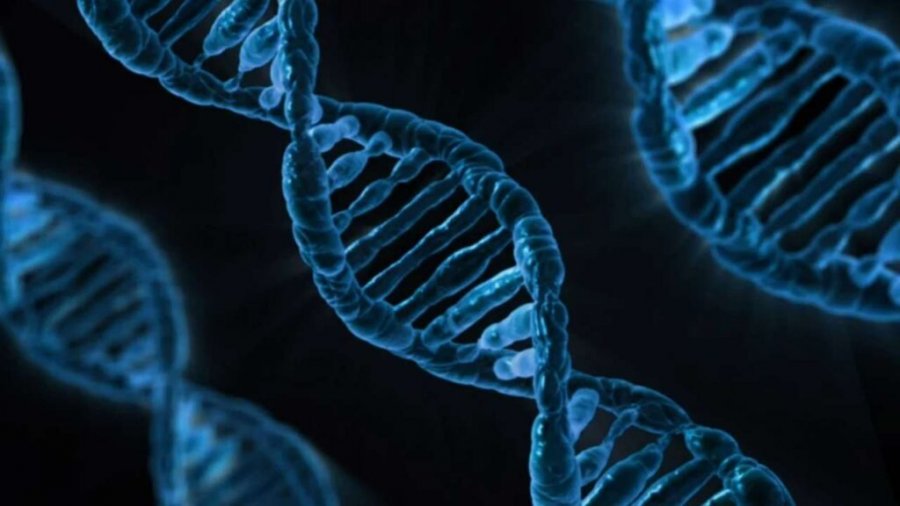 Shkencëtarët zbulojnë një qasje të re, që mund të fuqizojë terapitë me mRNA