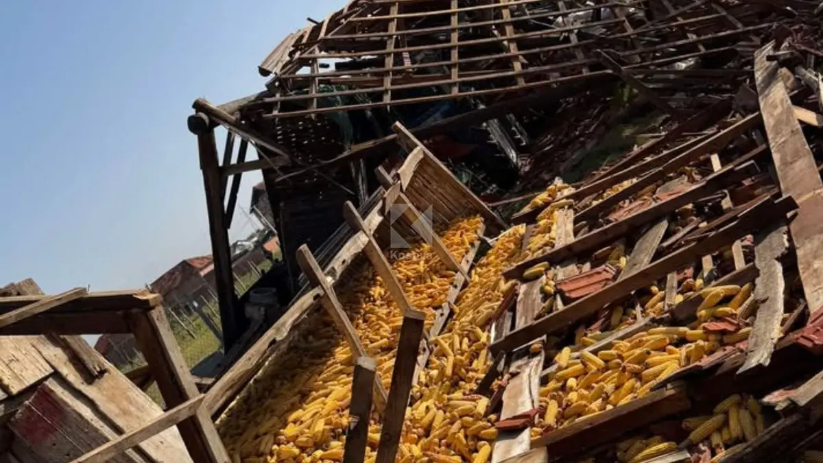 Erërat e fuqishme shkaktojnë dëme në fshatin Skifteraj të Vitisë