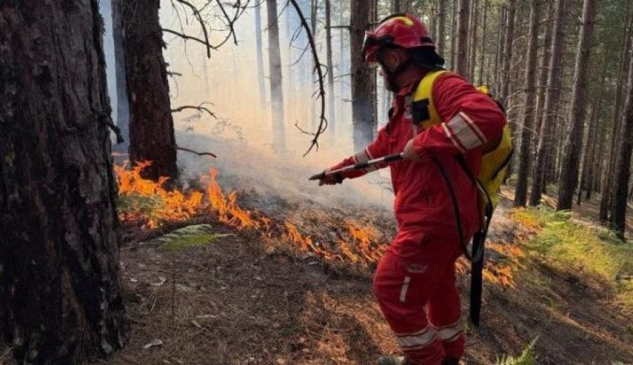 Shtatë vatra zjarri aktive në Shqipëri